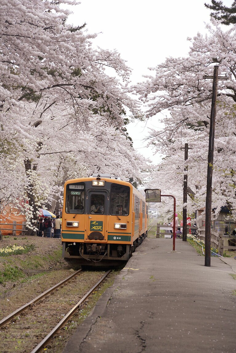 芦野公園の桜。