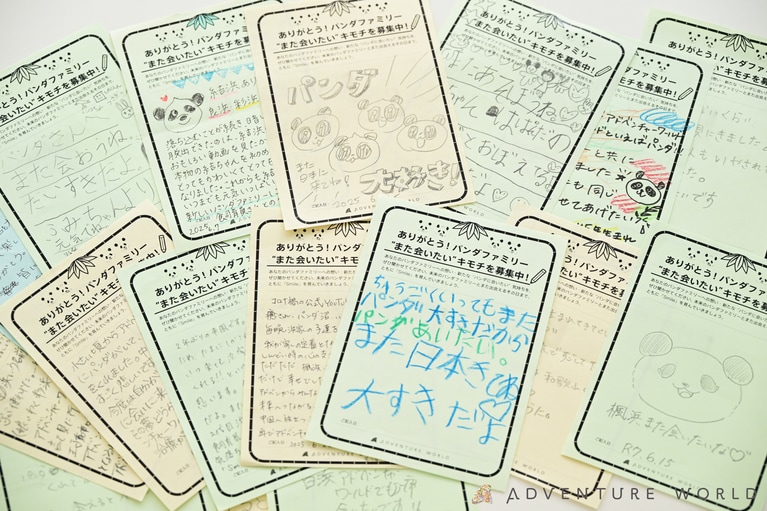 「ありがとう！パンダファミリー “また会いたい” キモチを募集中！」では約2万通もの想いが集まった。©アドベンチャーワールド
