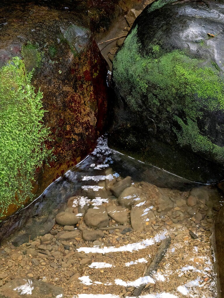 ハイキングコースのそばには清流が流れる。途中の休憩スポットにて。