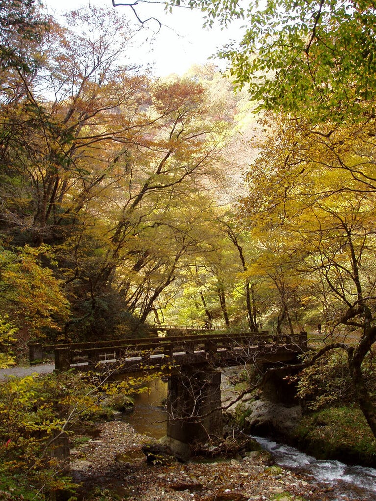紅葉のシーズンも見どころのひとつ。写真提供：広島県