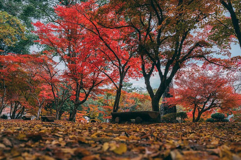 尾関山公園。写真：一般社団法人三次観光推進機構提供