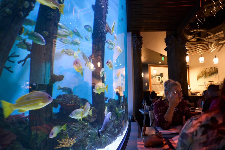 水槽がすぐ横にある席を予約したい。