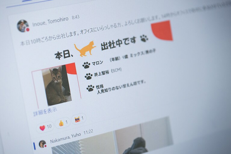 マロンさんの出社は「Teams」で社内に共有している。