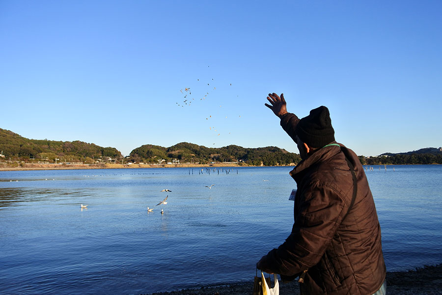 駅のホームには近寄らず、佐久米海岸で羽を休めていたユリカモメたち。笹田さんが手をあげると、一斉に飛び立ちました。