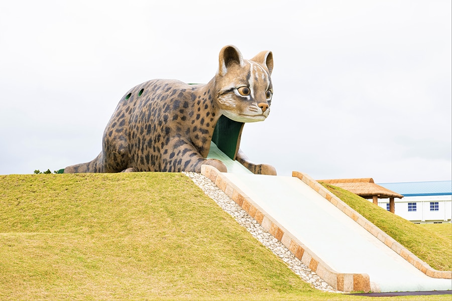 時間に余裕があれば、巨大滑り台のあるンママキーやまねこパークへ。