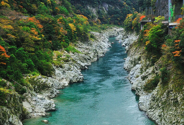 大歩危峡の紅葉／徳島県