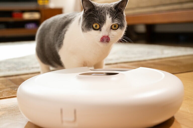 一食分をぺろり。これはお留守番の時に心強い！