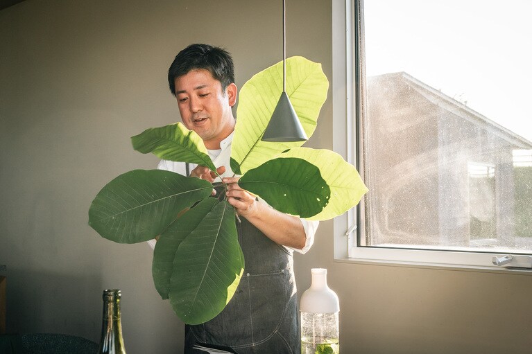 朴葉について説明する栗山さん。（撮影：石川博也）