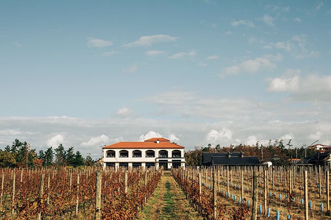 【Winerystay TRAVIGNE】Photo: Masahiro Shimazaki