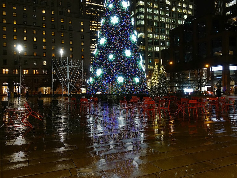 雨が降れば「逆さツリー」なんてミラクルも。