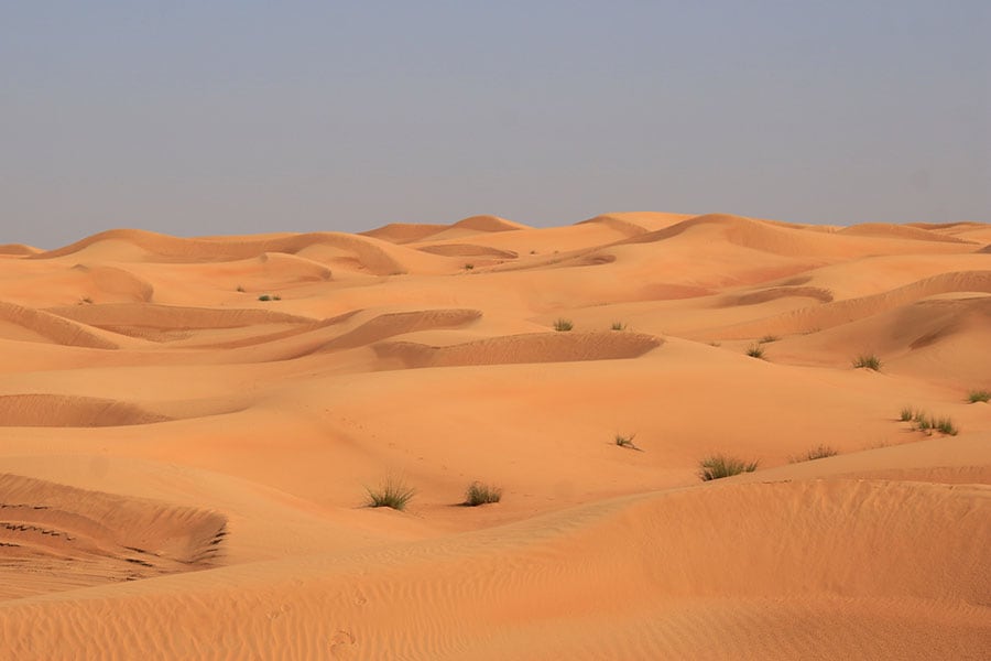 綿々と連なる美しい砂丘は、風と砂が造った芸術作品！　こんな風景の中を走っていく。