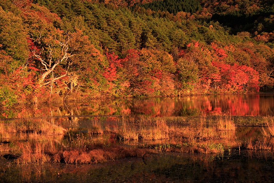 【福島県】観音沼森林公園。