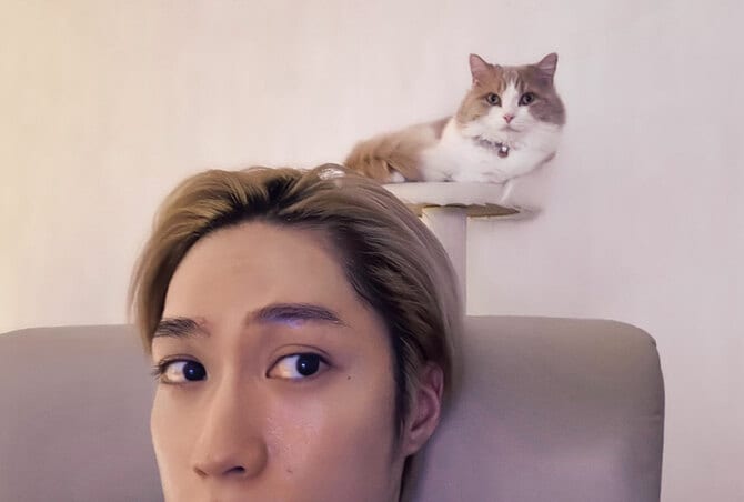 2ページ目)「ソファは3台買い替えた。飲みの誘いも断る！」猫を愛する