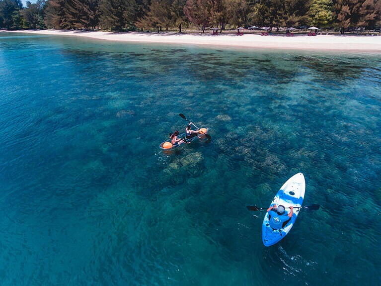 海の中が覗けるクリアカヤックも体験できます。