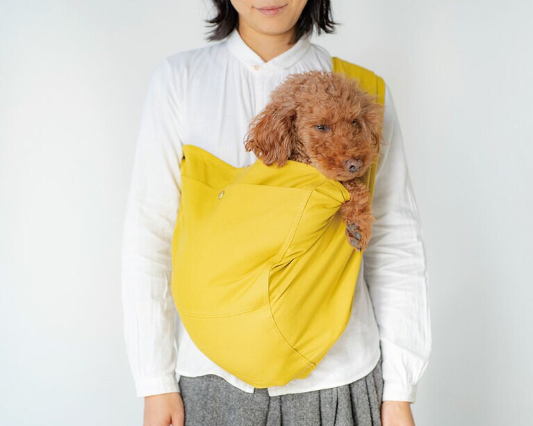 使用イメージ。