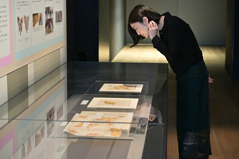 「受け継がれし明治のドレス」展