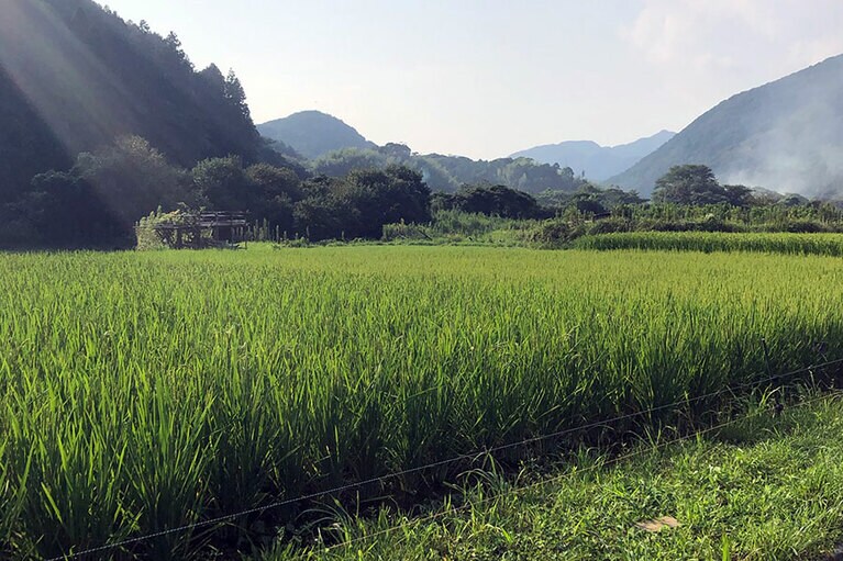 伊豆半島の最南端、里山の風景が広がる南伊豆。“伊豆の縁側”とも呼ばれているそうです。