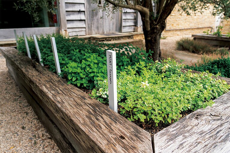 各種ハーブも自家栽培。