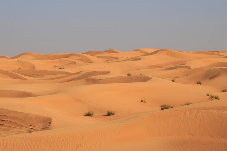 綿々と連なる美しい砂丘は、風と砂が造った芸術作品！　こんな風景の中を走っていく。