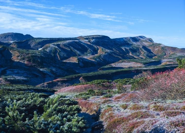 黒岳のテント泊山行にて、うっすら雪化粧した山々と草紅葉。写真提供＝松本初穂子