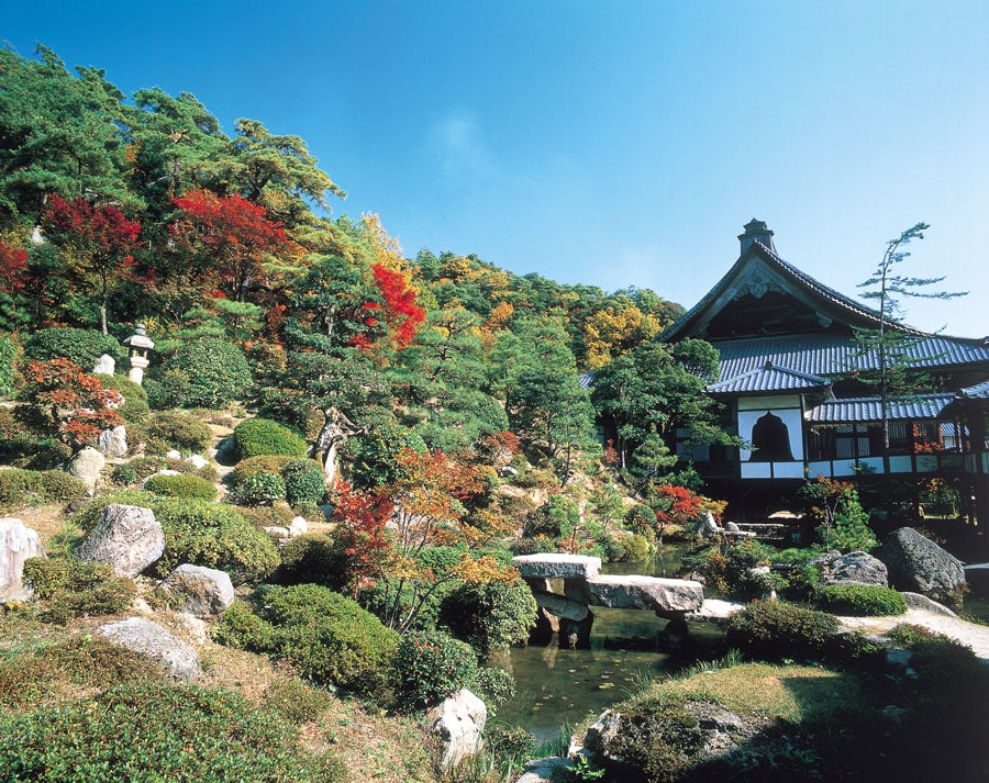 西福寺の紅葉。