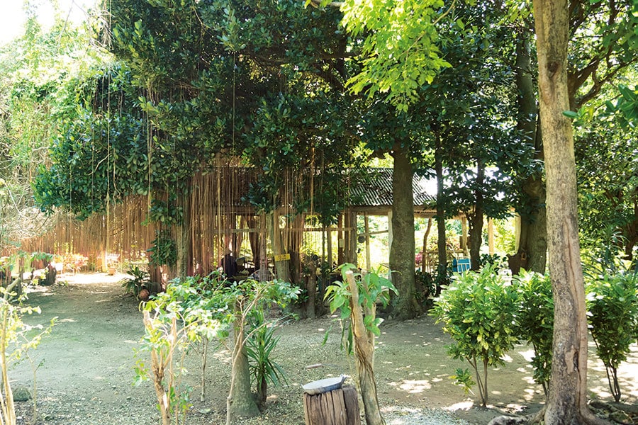 南の島の濃密な木々が生い茂る森の中で、静かに民具作りの伝統を受け継ぐ工房。