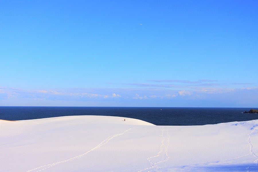 雪化粧した鳥取砂丘。