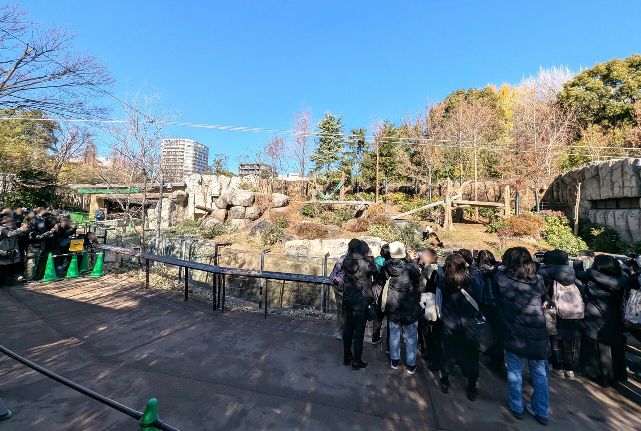 観覧者は、前から順に10～20人ほど（混雑具合で異なる）のグループに分けられ、グループごとに移動。観覧時間は1か所につき約1分間だった。（2025年12月26日、筆者撮影）