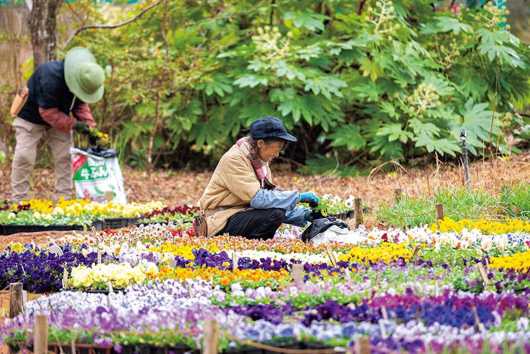 冬季休園中も庭師たちは植栽の手入れを欠かさない。