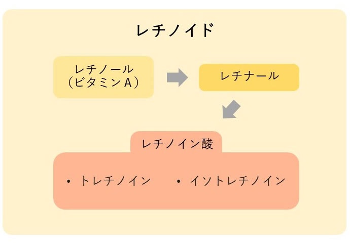 レチノイン酸、レチナール、レチノール、何が違う？
