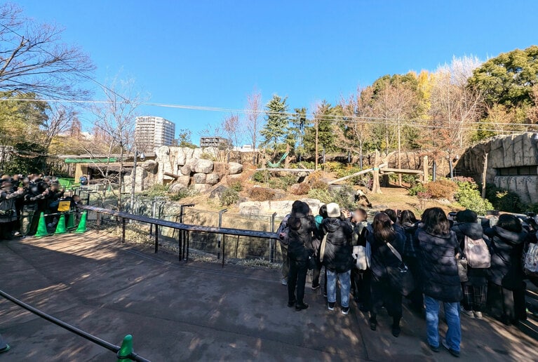 観覧者は、前から順に10～20人ほど（混雑具合で異なる）のグループに分けられ、グループごとに移動。観覧時間は1か所につき約1分間だった。（2025年12月26日、筆者撮影）