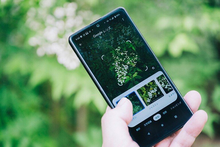 白い花をGoogleレンズにかざしてみると、類似する画像結果が表示され、ナンテンを探し出せました。