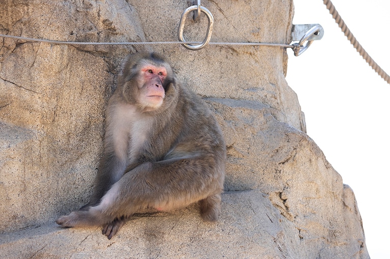 涼しい場所を求め、真剣な表情です。