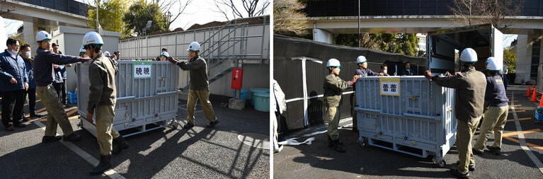 シャオシャオ（左）とレイレイが入った輸送箱。（提供：（公財）東京動物園協会）
