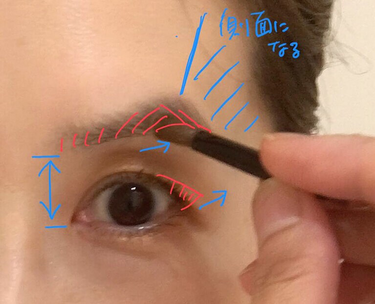 少し下から眉頭を描き、眉山を作ることで、目との距離を近づける。