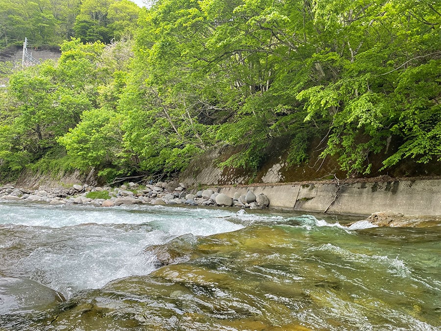 GoProは動画だけでなく静止画もきれいに撮れます。