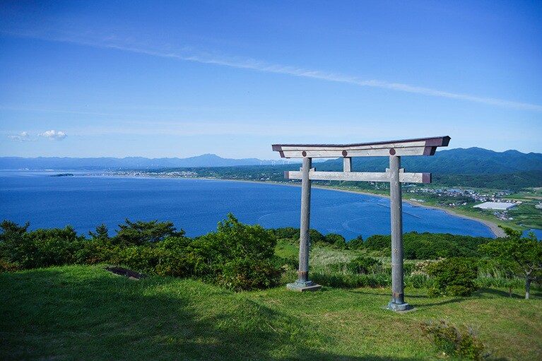 丘の緑と海の青のコントラストが美しい。