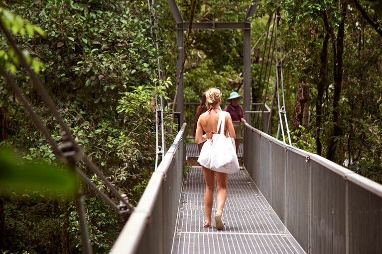 森を繫ぐ吊り橋。