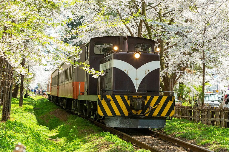 芦野公園の桜。