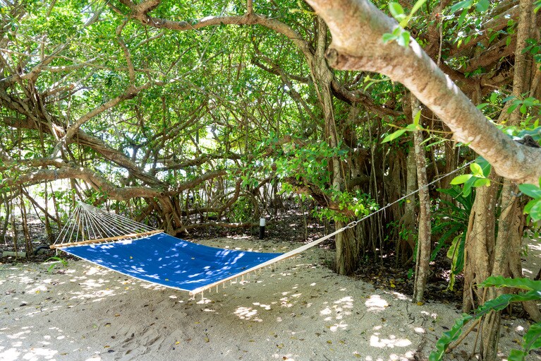 ガジュマル広場のハンモック。