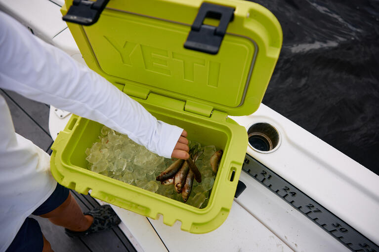 試行錯誤を重ねて完成した「プレミアムクーラーボックス」を持って、どこへでも行こう。