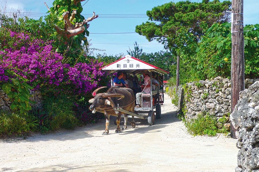 竹富島の水牛車。©沖縄観光コンベンションビューロー