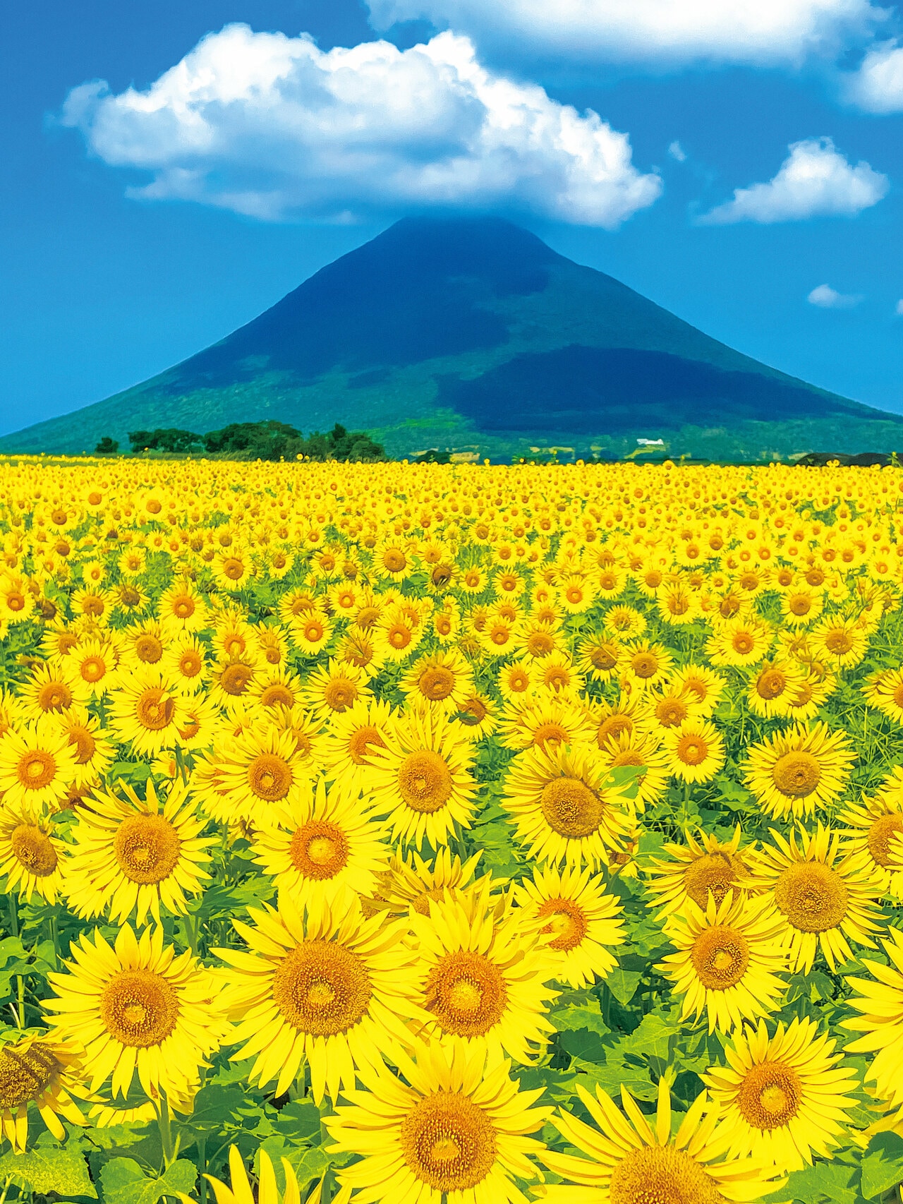 @kanako.sky.love