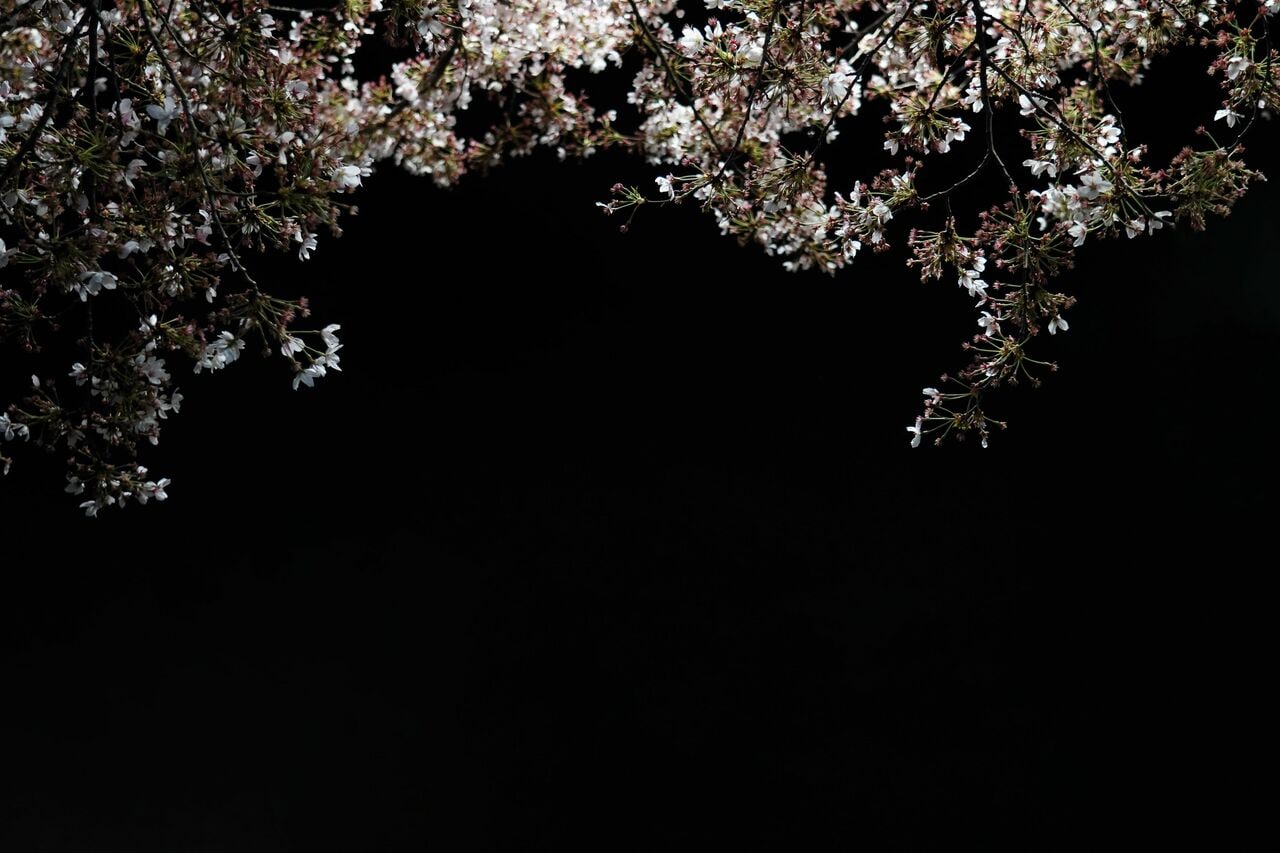 写真はイメージです。提供：アフロ