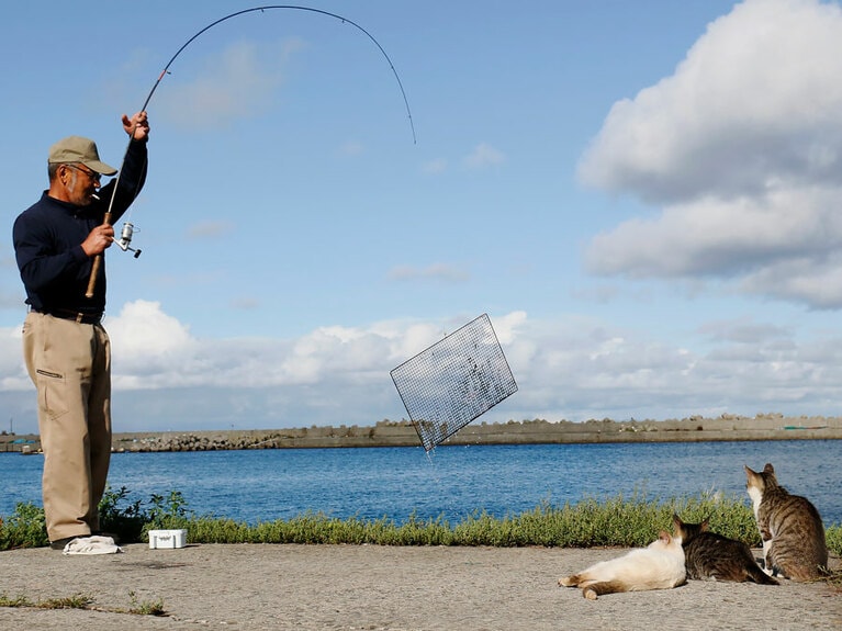 「ニャ～んか釣れたみたいだニャア」「どう見ても魚ではないのニャ」「昭和のマンガのオチみたいだニャ」