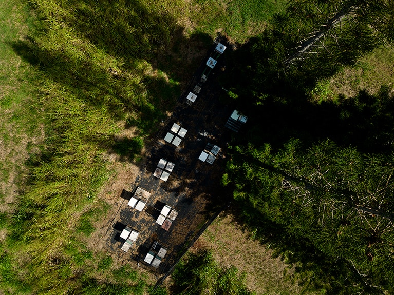 巣箱は周囲に人家のない原っぱや海岸沿いなどにひっそりと置かれている。
