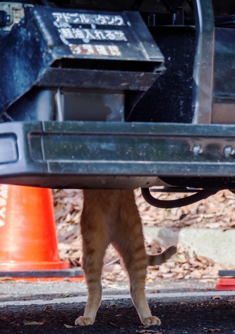 vol.016「まったくもう……どんな使い方しているのニャ！　修理する身にもなってほしいのニャ」