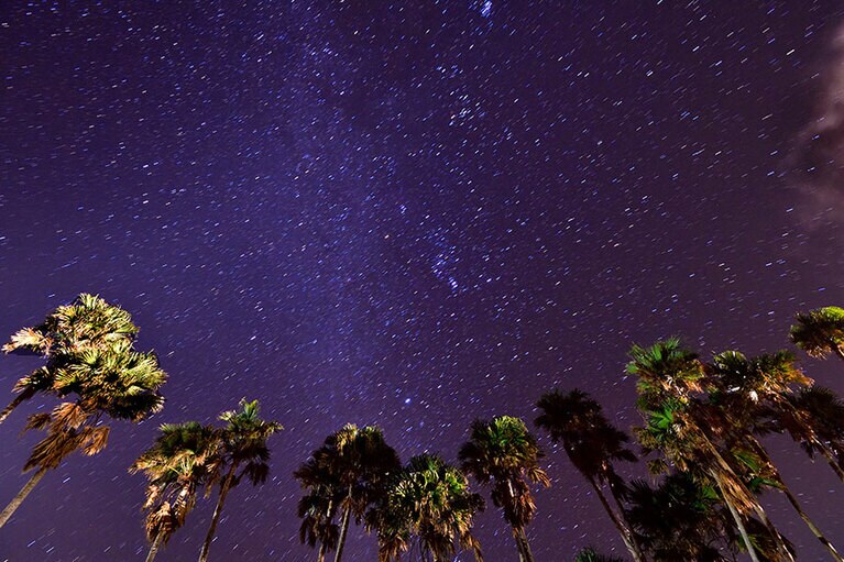 空にはこんなに星があったんだ……とびっくり。