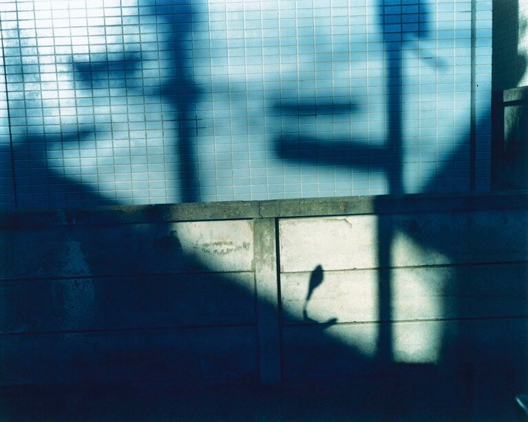 撮影：興村憲彦