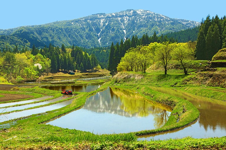 【兵庫県】別宮の棚田。